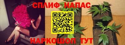 индика Изобильный